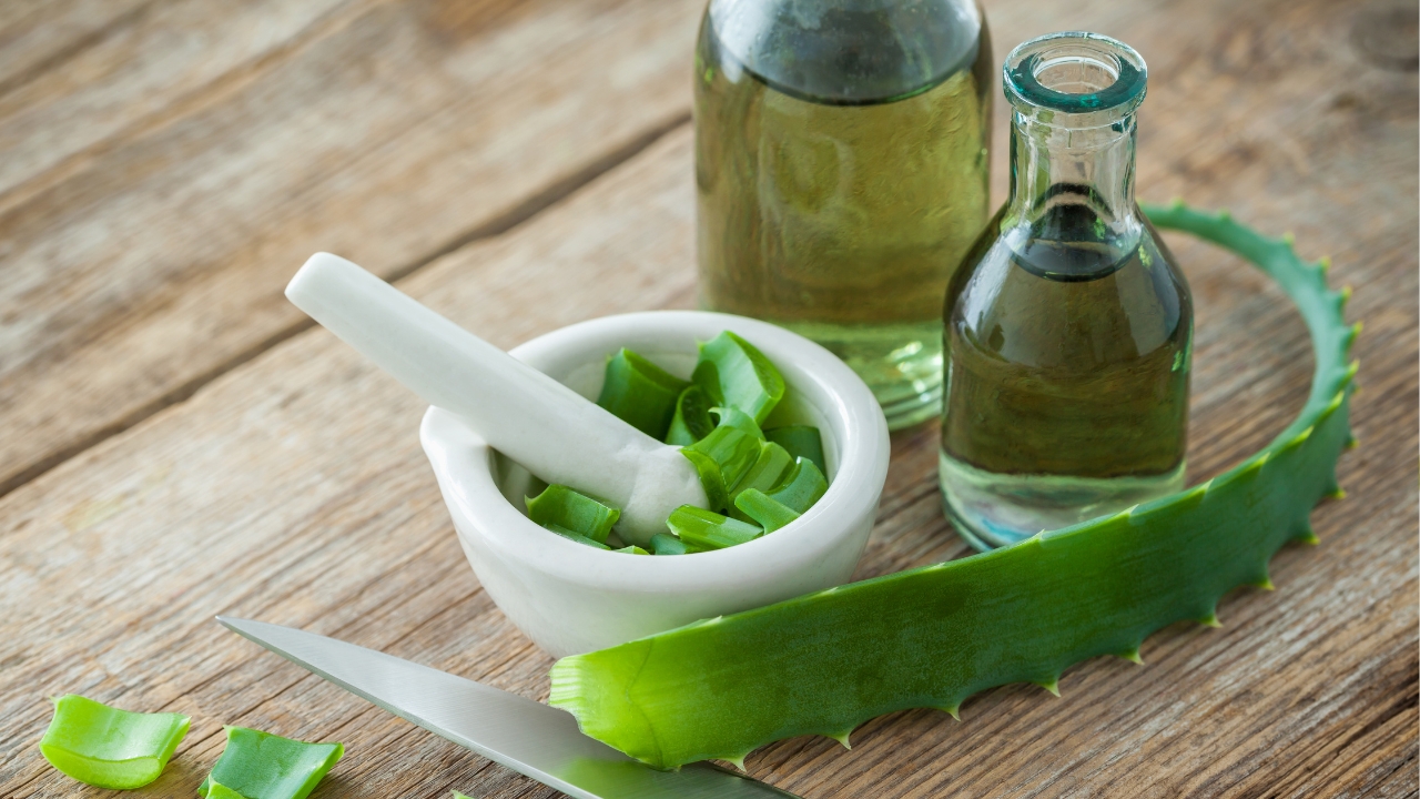 ALOE VERA EXTRACT (ORGANIC)