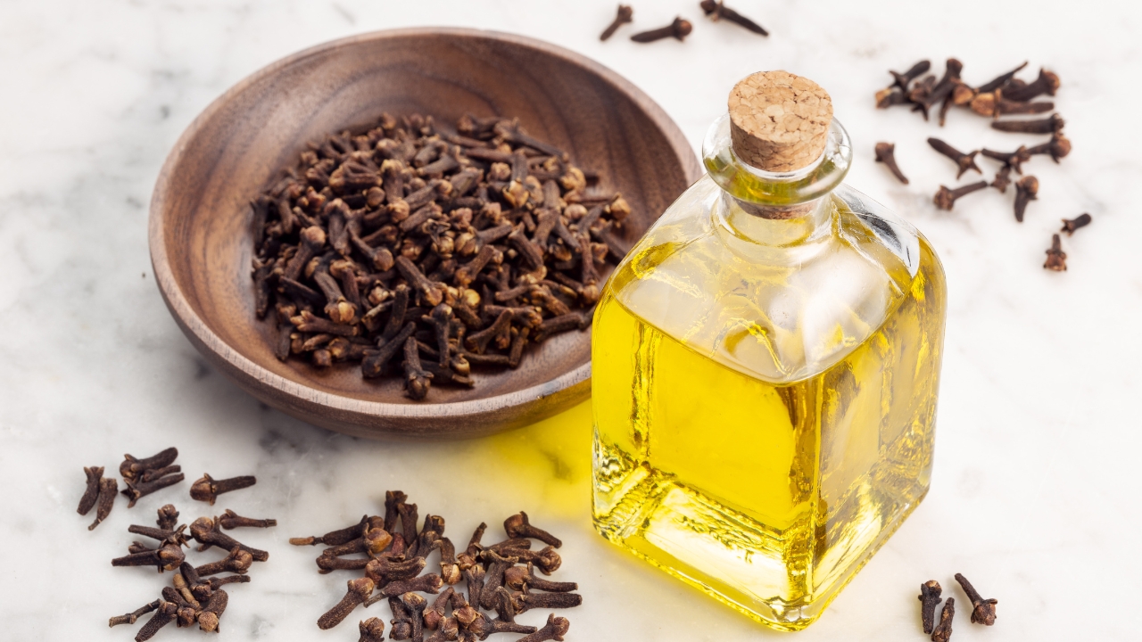CLOVE OIL (ORGANIC)