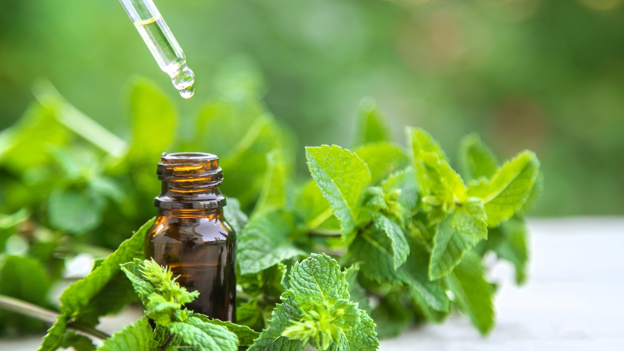 SPEARMINT OIL
